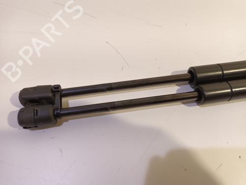 Hood lift support LAND ROVER RANGE ROVER EVOQUE (L538) 2.2 D 4x4 | BP16757883C139 