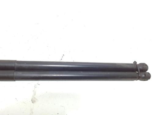 Tailgate lift support FORD FIESTA VI (CB1, CCN) 1.25 | BP13208189C138 