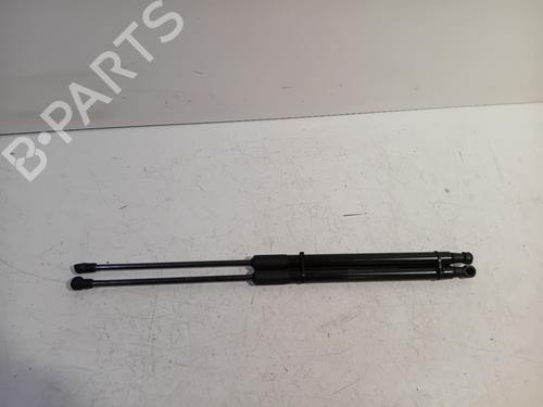 Used Tailgate lift support NISSAN QASHQAI / QASHQAI +2 I (J10, NJ10, JJ10E) 1.5 dCi (106 hp) 19078123