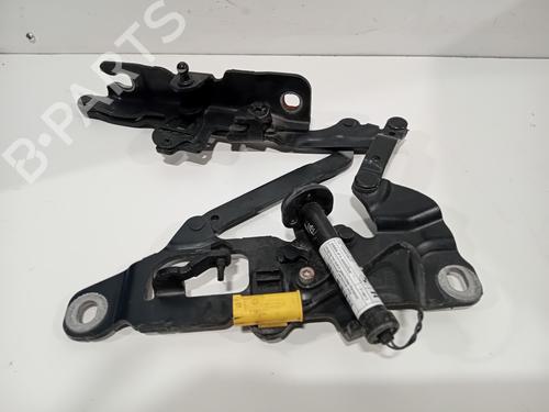 Hinge/Door check strap BMW 5 (F10) 530 d | BP29541096C146