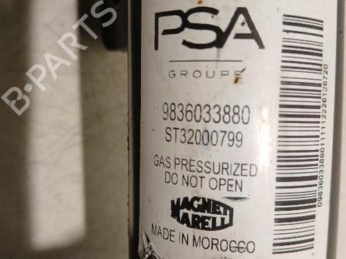Left front shock absorber OPEL CORSA F (P2JO) CORSA-e (68) | BP36801386M16  - Image 5