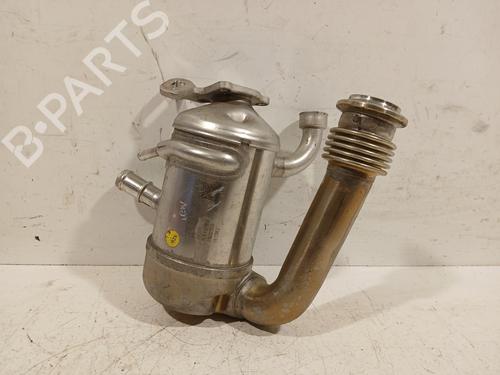Egr VW TRANSPORTER T6 Platform/Chassis (SFD, SFE, SFL, SFZ, SJD, SJ 2.0 TDI | BP29220542M69 