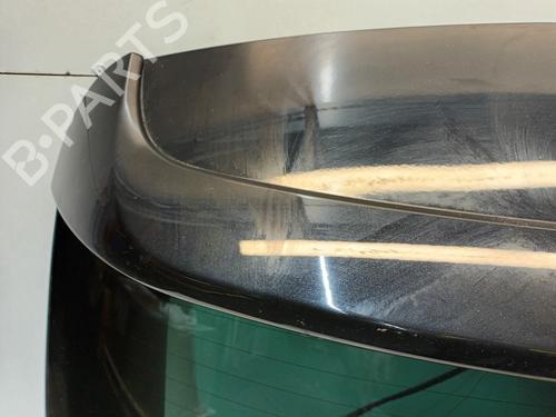 Tailgate VW TIGUAN (5N_) 2.0 TDI 4motion | BP32252864C6