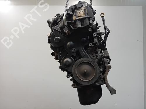Motor für FORD FOCUS III 1.6 TDCi (115 hp) 19279021