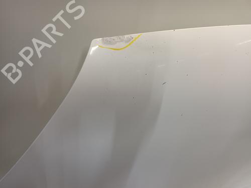 Hood RENAULT KANGOO Express (FW0/1_) 1.5 dCi 90 (FW0G, FW05, FW08, FW11) | BP30152746C1