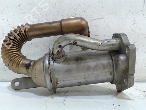 Used Egr Egr 10669446 10669446