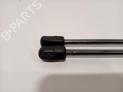 Hood lift support BMW 5 (F10) 530 d | BP29541102C139 