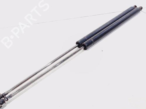 Tailgate lift support MERCEDES-BENZ V-CLASS (638/2) V 220 CDI (638.294) | BP13196267C138 