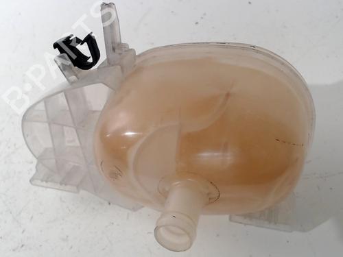 Expansion tank RENAULT TWINGO III (BCM_, BCA_) 1.0 SCe 70 (BCMB) | BP13206677C120 