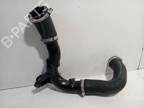 Pipe VW POLO VI (AW1, BZ1, AE1) GTI | BP28010759M125 