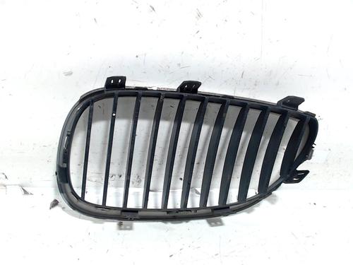 Grille BMW 5 Touring (E61) 525 d | BP13202101C40 