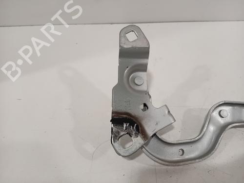 Hinge/Door check strap RENAULT SCÉNIC IV (J9_) 1.3 TCe 160 (J9NC) | BP28282976C146 