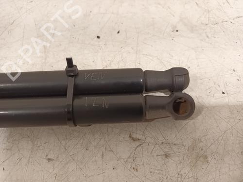 Tailgate lift support SKODA FABIA II (542) 1.2 | BP15716785C138 