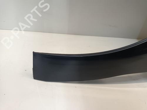 Left front fenders CITROËN C4 II (NC_) 1.6 VTi 120 (NC5FS0, NC5FS9) | BP29563645C41 
