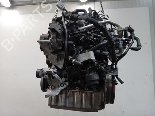 Engine VW TRANSPORTER T6 Platform/Chassis (SFD, SFE, SFL, SFZ, SJD, SJ 2.0 TDI | BP28072693M1 
