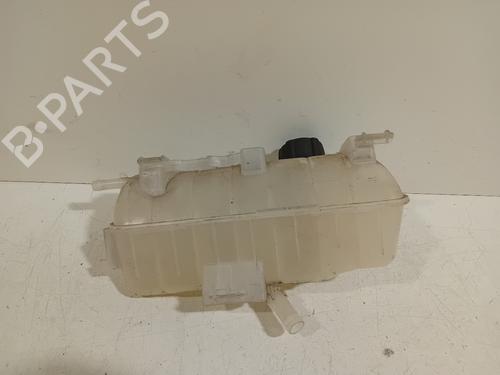 Ekpansionstank RENAULT KANGOO Express (FW0/1_) Z.E. (FW0Z, FW1Z) (60 hp) 21081912