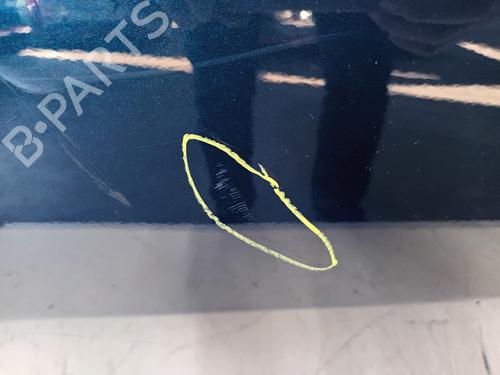 Left rear door KIA NIRO I (DE) 1.6 GDI Hybrid | BP24262499C4 