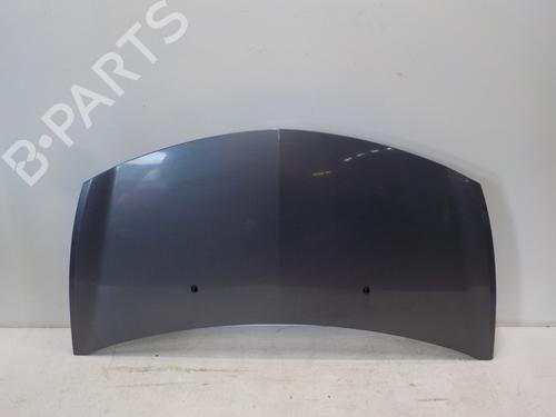 Used Hood RENAULT CLIO III (BR0/1, CR0/1) 1.2 16V (BR02, BR0J, BR11, CR02, CR0J, CR11) (75 hp) 13711203