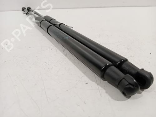 Tailgate lift support BMW 1 (F20) 116 d | BP26725938C138