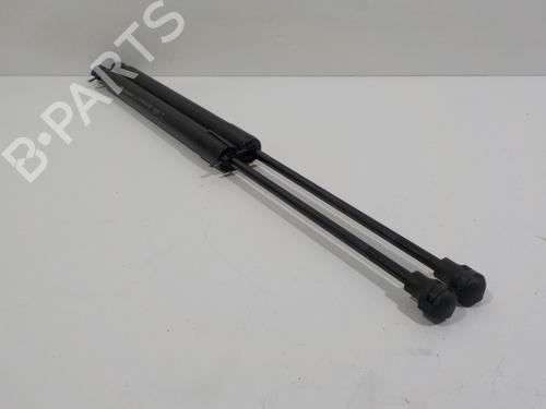Tailgate lift support RENAULT ZOE (BFM_) ZOE | BP17087893C138 