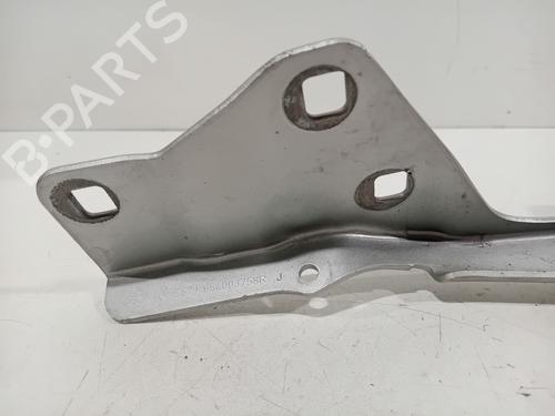 Hinge/Door check strap RENAULT SCÉNIC IV (J9_) 1.3 TCe 160 (J9NC) | BP28282975C146 