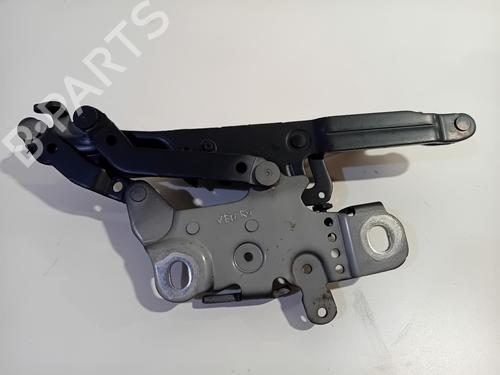 Used Hinge/Door check strap BMW 1 (F20) 116 i (136 hp) 29918319
