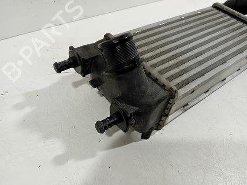 Intercooler FIAT 500 C (312_) 0.9 (312AG1A) | BP24980518M30 - Image 2