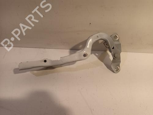 Hinge/Door check strap RENAULT SCÉNIC IV (J9_) 1.2 TCe 130 | BP16948894C146 