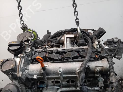 Engine VW GOLF PLUS V (5M1, 521) 1.6 FSI | BP37265002M1 - Image 6
