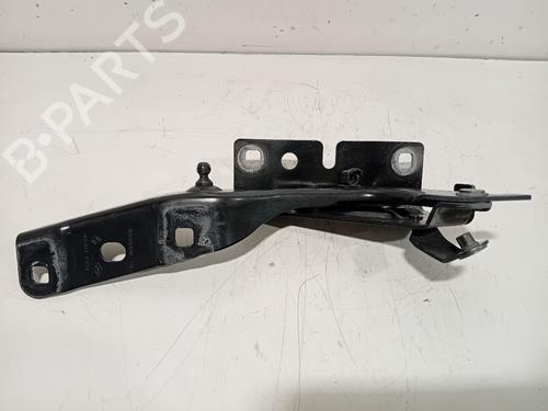 hingedoor-check-strap-renault-austral-2022-36641499 main image