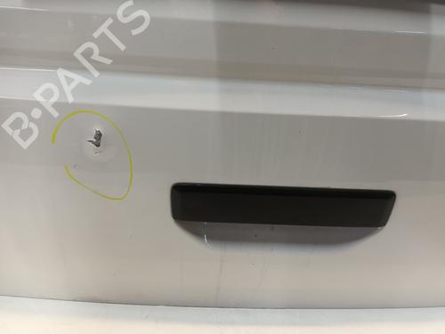 Tailgate VW TRANSPORTER T5 Van (7HA, 7HH, 7EA, 7EH) 2.0 TDI | BP29856334C6 