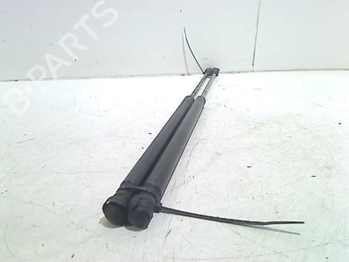 Tailgate lift support FORD FOCUS II Turnier (DA_, FFS, DS) 1.4 | BP13198086C138 