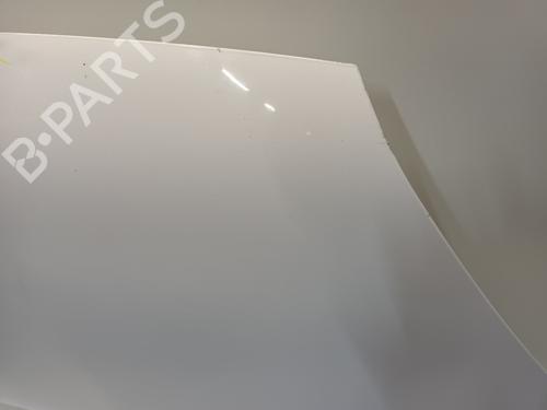 Hood RENAULT KANGOO Express (FW0/1_) 1.5 dCi 90 (FW0G, FW05, FW08, FW11) | BP30152746C1