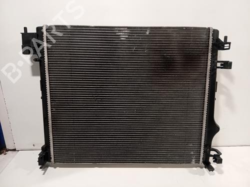 Used Water radiator Water radiator RENAULT AUSTRAL TCe 160 (HGMJ) (158 hp) 36641449 36641449