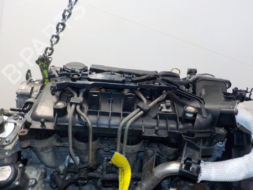 Engine FORD FIESTA VI (CB1, CCN) 1.6 TDCi | BP10099721M1 