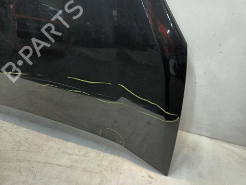 Hood FIAT DOBLO Cargo (263_) 1.3 D Multijet | BP21079825C1 