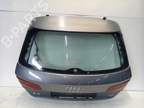 Used Tailgate Tailgate 35788846 35788846