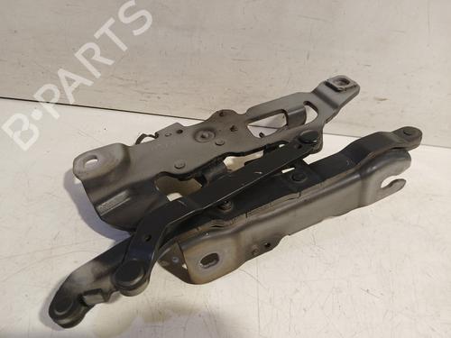 Hinge/Door check strap BMW 5 Touring (F11) 525 d xDrive | BP31297690C146