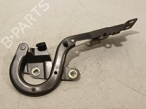 Hinge/Door check strap RENAULT ESPACE V (JR_) 1.6 dCi 160 | BP27316456C146 