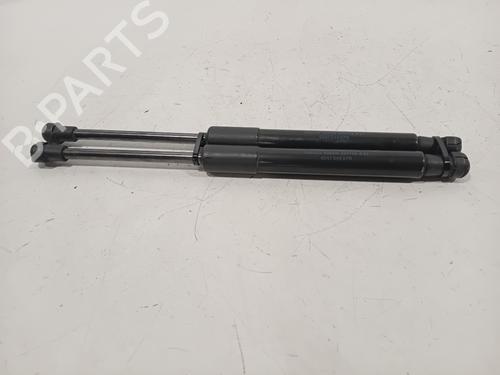 Hood lift support RENAULT SCÉNIC IV (J9_) 1.3 TCe 160 (J9NC) | BP28282973C139 