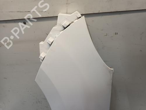Left front fenders MERCEDES-BENZ CITAN Box Body/MPV (W415) 108 CDI (415.601, 415.603) | BP29275463C41 