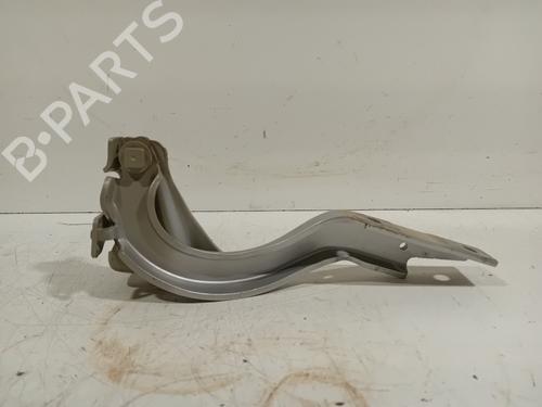Hinge/Door check strap FIAT 500X (334_) 1.4 (334AXC1B, 334AXC11) | BP22687625C146 