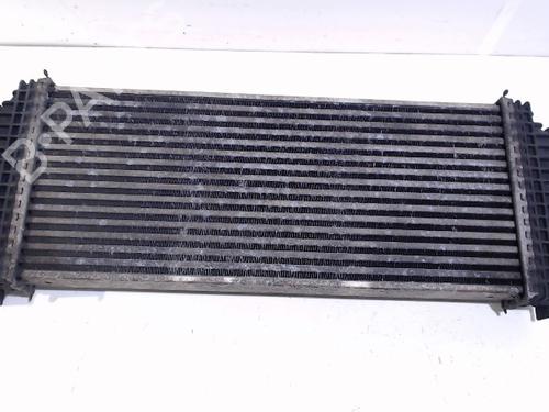 Intercooler MERCEDES-BENZ M-CLASS (W164) ML 280 CDI 4-matic (164.120) | BP13199348M30 
