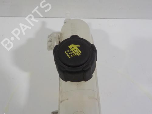 Expansion tank RENAULT ZOE (BFM_) ZOE | BP16668012C120 