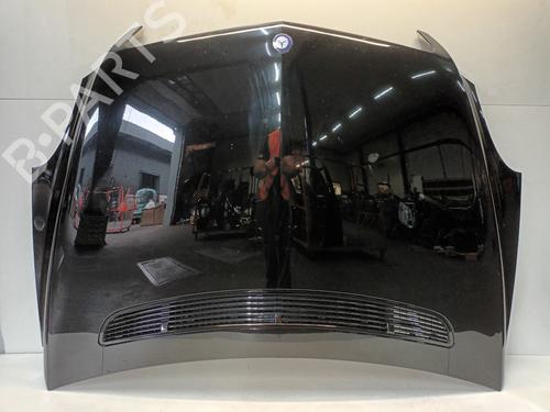 Used Hood MERCEDES-BENZ R-CLASS (W251, V251) R 350 (251.056, 251.156) (272 hp) 29541211