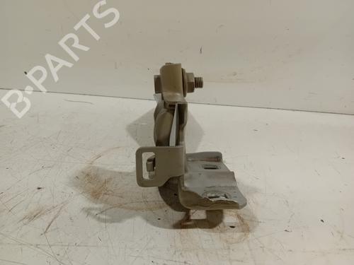 Hinge/Door check strap FIAT 500X (334_) 1.4 (334AXC1B, 334AXC11) | BP22687624C146 