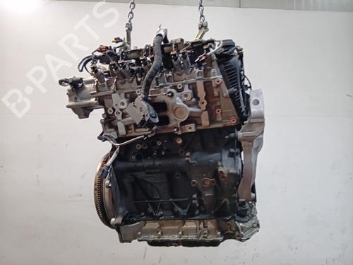 Motor VW GOLF VIII (CD1, DA1) 2.0 GTI | BP32388942M1