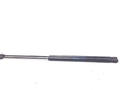 Tailgate lift support FORD FIESTA V (JH_, JD_) 1.4 TDCi | BP13196696C138 