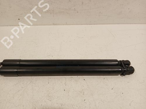 Tailgate lift support FIAT TIPO Estate (356_, 357_) 1.4 (356WXF1B) | BP28587767C138