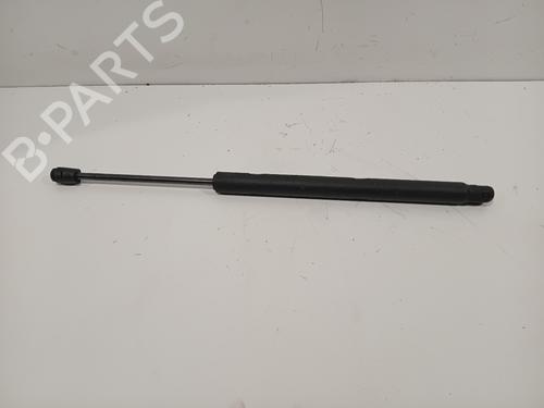 Used Hood lift support MERCEDES-BENZ R-CLASS (W251, V251) R 350 (251.056, 251.156) (272 hp) 29528217